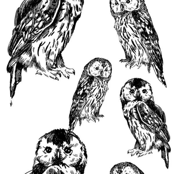 Seamless Pattern Owls Freehand Drawing Vintage Style — ストックベクタ