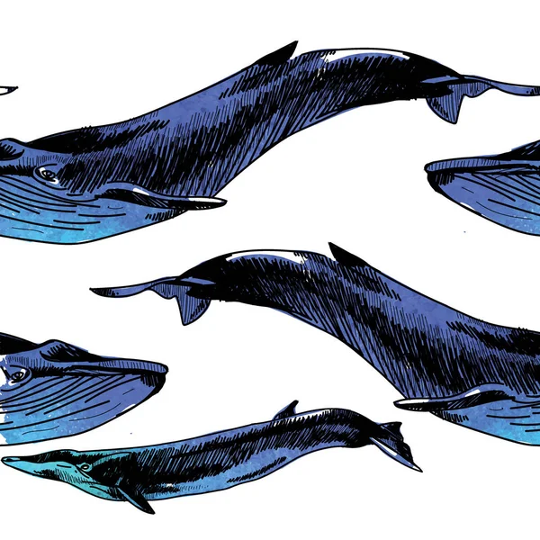 Patrón Sin Costuras Con Ballenas Delfines Dibujo Mano Estilo Vintage — Archivo Imágenes Vectoriales