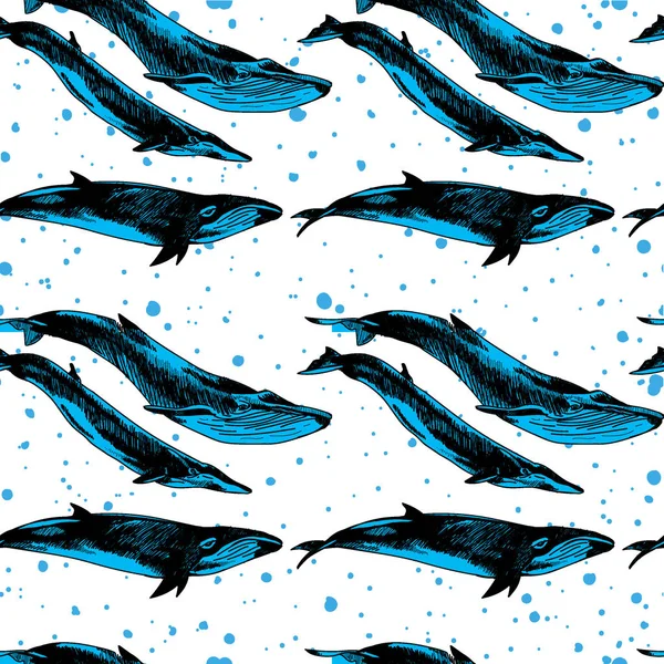 Бесшовный Узор Китами Дельфинами Рисунок Вручную Винтажном Стиле — стоковый вектор