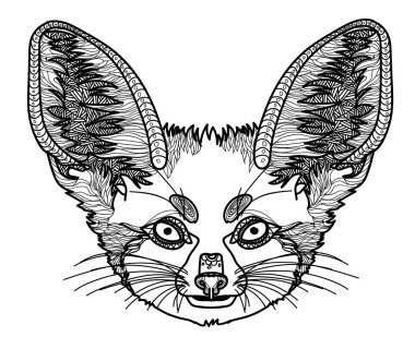 Çöl tilkisi. Renklendirme, meditasyon renkleri. Desenler, noktalar, çizgiler. Sevimli hayvanlar..