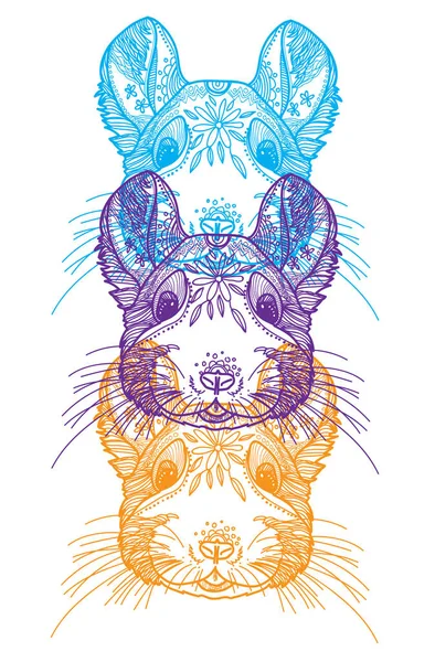 Chinchilla Doodling Coloring Meditative Coloring Patterns Dots Stripes Cute Animals — Stock Vector