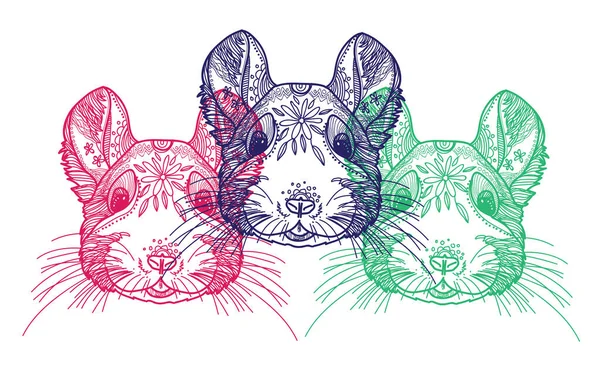 Τσινσίλα Χρωματισμός Διαλογιστικός Χρωματισμός Μοτίβα Τελείες Ρίγες Χαριτωμένα Ζώα — Διανυσματικό Αρχείο
