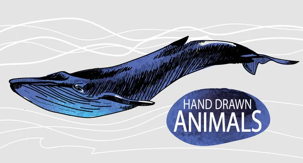 ปลาวาฬ การวาดด วยม อในสไตล นเทจด วยแพทช ของส — ภาพเวกเตอร์สต็อก