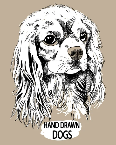 骑士查尔斯 斯潘尼尔国王手绘老式风格的绘画 狗品种 — 图库矢量图片