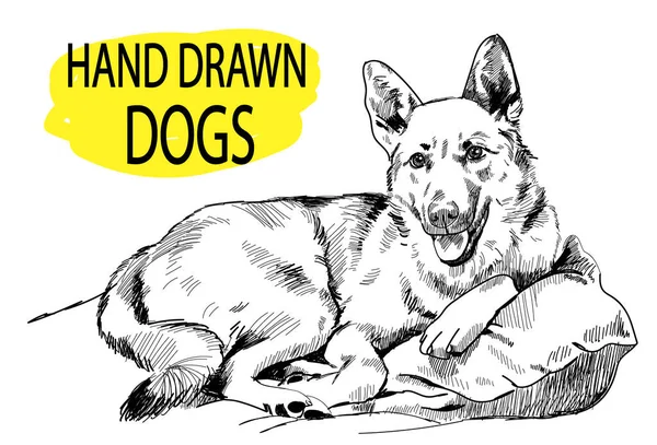 Hund Auf Kissen Liegend Zeichnung Von Hand Vintage Stil — Stockvektor