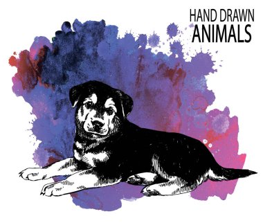 Şirin Alman çoban köpeği karnının üstünde yatıyor. Bir kalemle elle çizmek. Köpek..