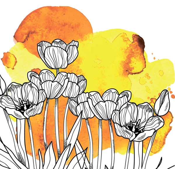 Fond Élégant Avec Des Tulipes Dessin Main Dans Style Vintage — Image vectorielle