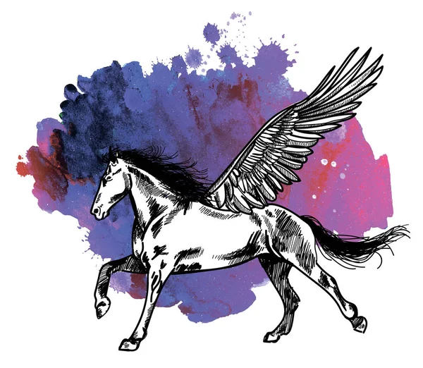 Pegasus Cavalo Com Asas Grandes Corre Desenhado Mão — Vetor de Stock