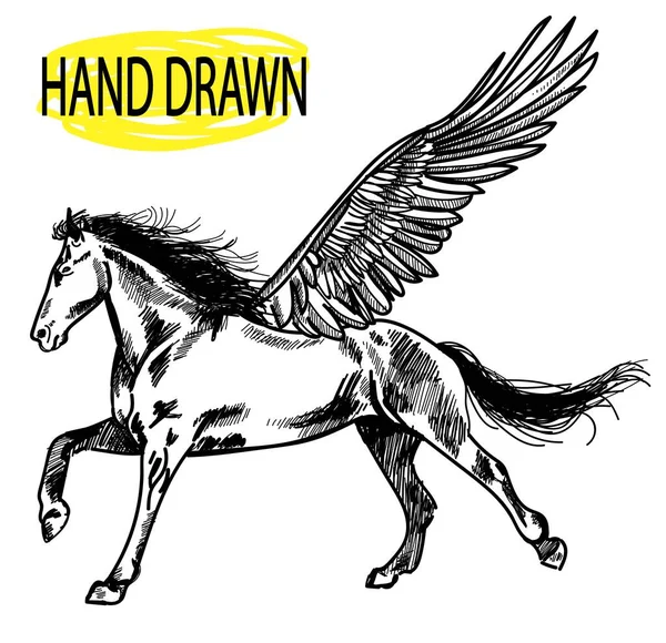 Pegasus Cavalo Com Asas Grandes Corre Desenhado Mão — Vetor de Stock