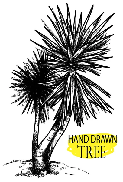 Palma Plantas Exóticas Desenho Mão Estilo Vintage — Vetor de Stock
