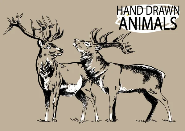 Herten Met Hand Getekend Vintage Stijl Met Hand Een Pen — Stockvector