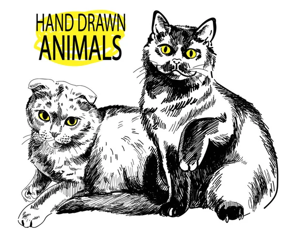 Zwei Katzen Sitzen Nebeneinander Handzeichnung Vintage Stil Bildstift — Stockvektor