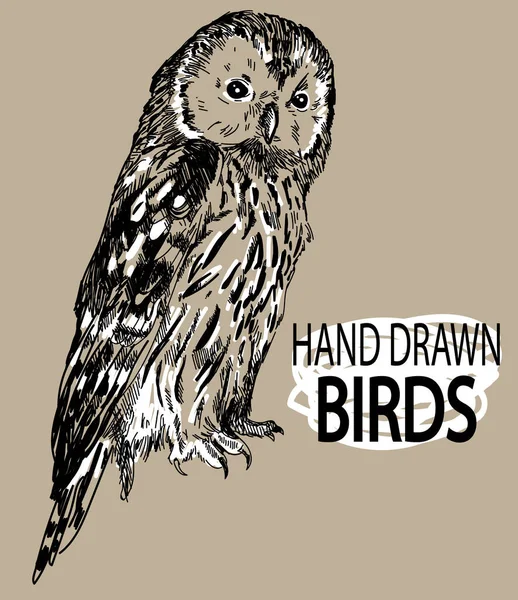 Hibou Dessin Main Dans Style Vintage Hibou Est Assis Avec — Image vectorielle