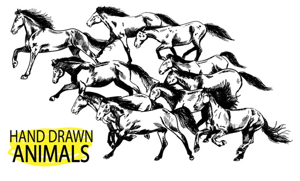 Cavalo Corrida Uma Manada Mustangs Desenho Mão Estilo Vintage — Vetor de Stock
