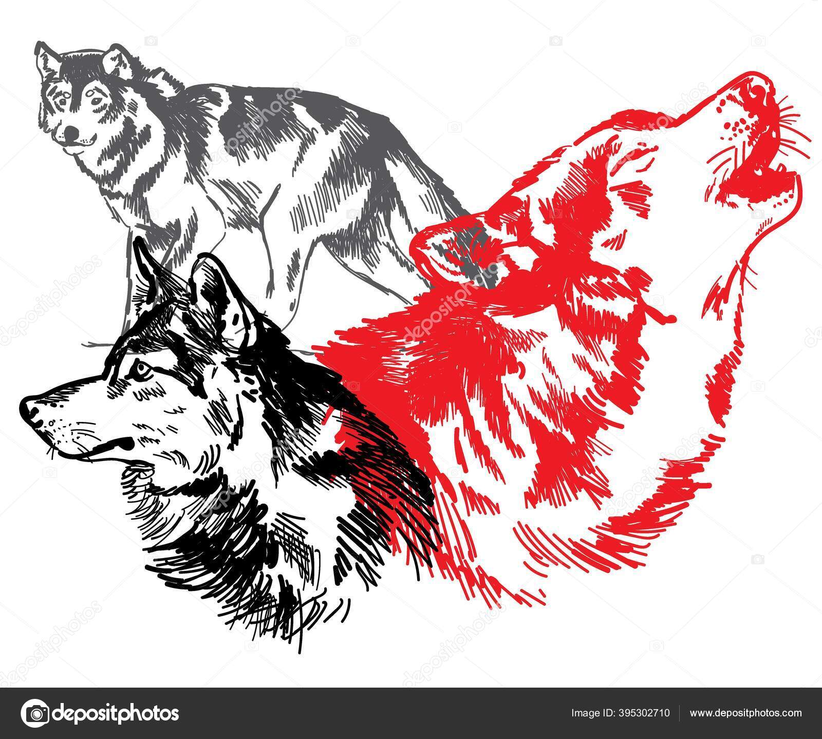 Vetores de Esboço De Raposas Fofas Conjunto De Ilustrações Vetoriais e mais  imagens de Raposa - Cão Selvagem - iStock