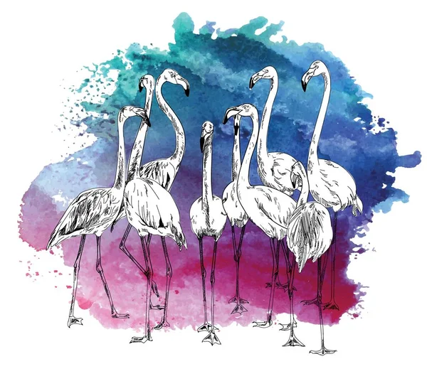 Flamingo Profesionální Kresba Stylu Vintage Hejno Ptáků Freehand Dreehand Kreslení — Stockový vektor