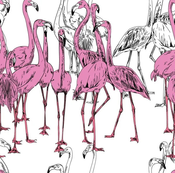 Modèle Sans Couture Avec Des Oiseaux Flamant Rose Lumineux Estival — Image vectorielle