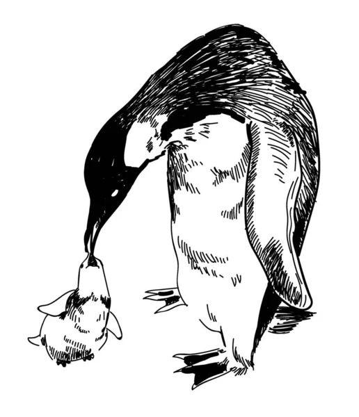ペンギンが雛に餌をやる 赤ちゃんとペンギン ヴィンテージスタイルのフリーハンドドローイング 図ペン — ストックベクタ