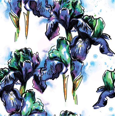 İris çiçekleriyle kusursuz desen. Elle çizim. Parlak suluboya lekesi. Renkli boya lekeleri. Stil yaz arkaplanı.