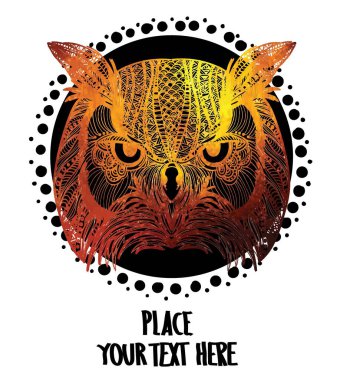 Bir baykuşun başı. Meditasyon, mandalayı boyama.  