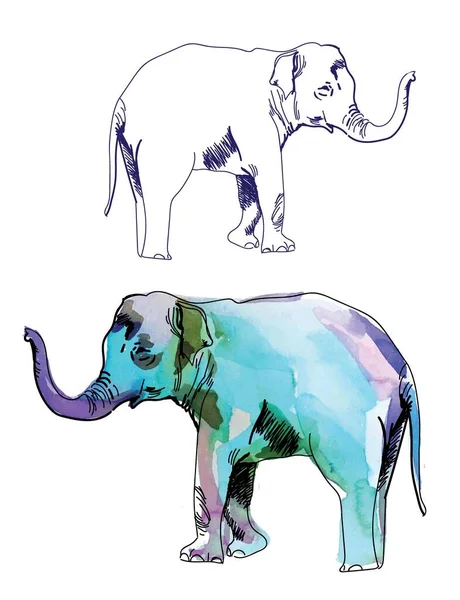 Elefante Indiano Desenho Mão Estilo Vintage Textura Tinta Aquarela —  Vetores de Stock