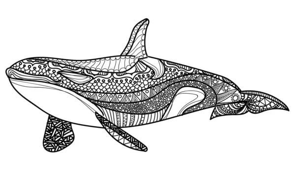 Φάλαινα Δολοφόνος Εθνοτικό Μοτίβο Μετατρεπτικό Χρώμα Mandala Dudling Σχέδιο Ζωγραφίζοντας Εικονογράφηση Αρχείου