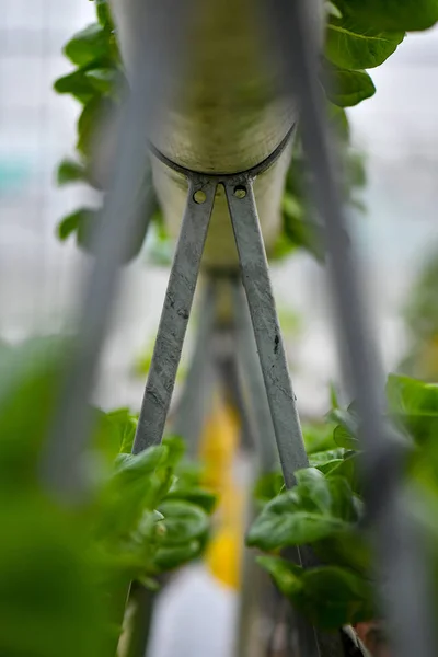 Hydroponic vertical farming systems