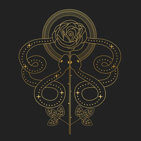Two snakes and rose. Vector hand drawn illustration