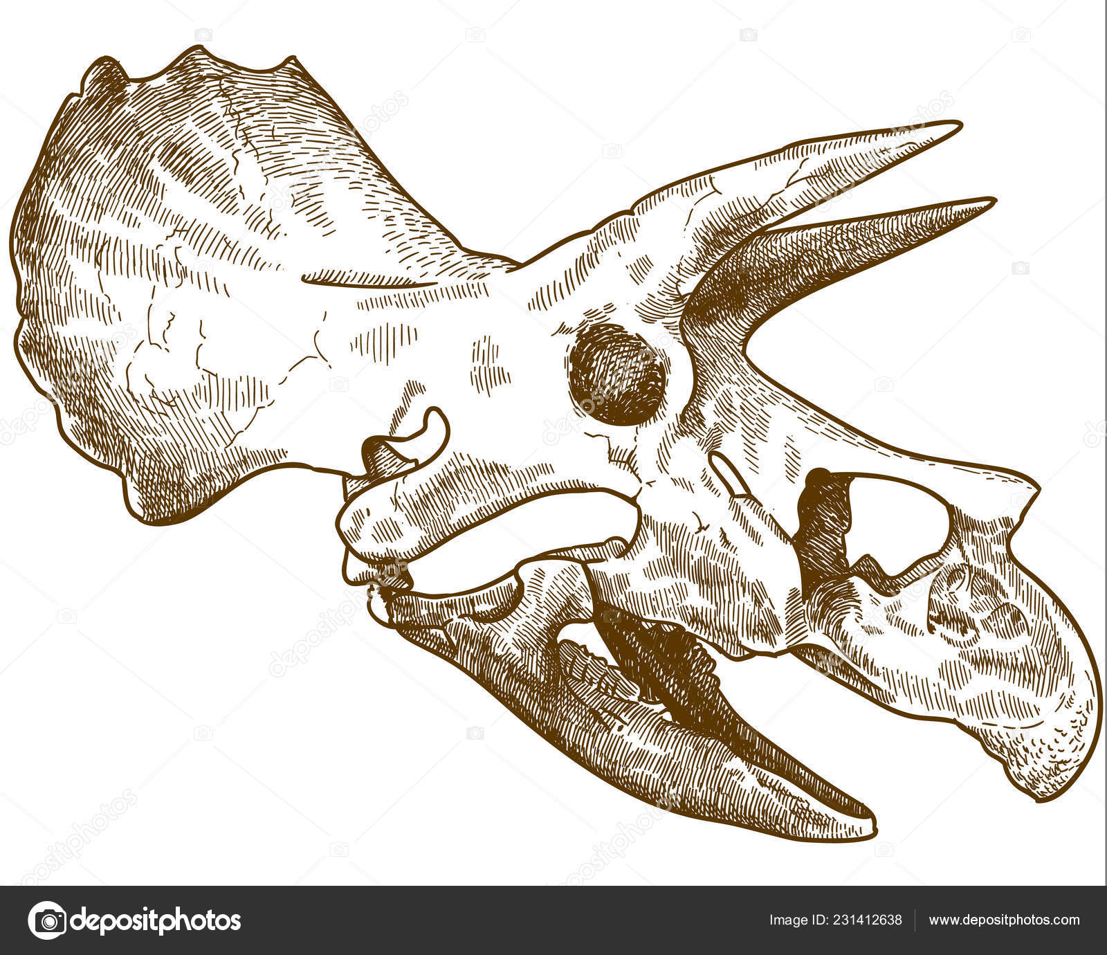 Featured image of post Dinosaur Skull Line Art Discover the unique items that themedprintsart creates
