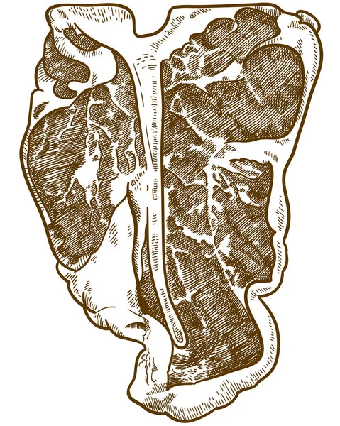 Illustration Vectorielle Dessin Gravure Antique Steak Bone Isolé Sur Fond — Image vectorielle
