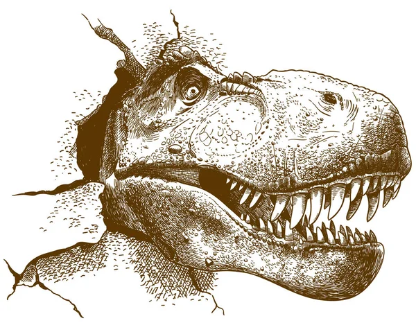 Gravure illustration du tyrannosaure — Image vectorielle