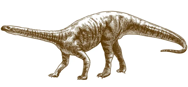 Ukiran ilustrasi kerangka plateosaurus - Stok Vektor