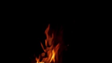 Siyah arka planda izole edilmiş gerçek yangın alevleri. Çimlerden çıkan şenlik ateşi. Efekt yaratmak için ateş.