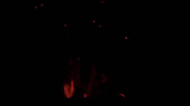 黒い背景に隔離されたスローモーションで本物の炎と火花 草の上からのたき火 効果を上げるための火 — ストック動画
