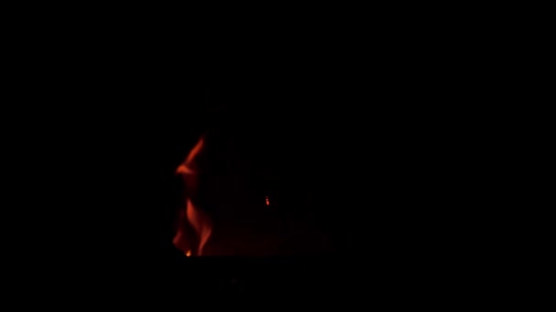 黒い背景に隔離されたスローモーションで本物の炎と火花 草の上からのたき火 効果を上げるための火 — ストック動画