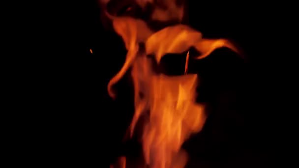 黒い背景に孤立した本物の炎 草の上からのたき火 効果を上げるための火 — ストック動画
