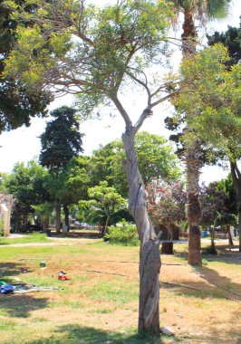 Türk, Mersin Mezitli, 3 Haziran , - 2019 : Turistik yerler.