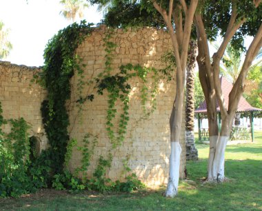 Türk, Mersin Mezitli, 3 Haziran , - 2019 : Turistik yerler, Açık Hava Müzesi.
