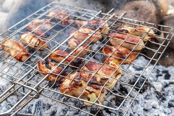 Bifes de carne suculentos cozidos sobre carvão vegetal em um rack de arame. Carne cozida em fogo ao ar livre. Foco seletivo. Close-up . — Fotografia de Stock