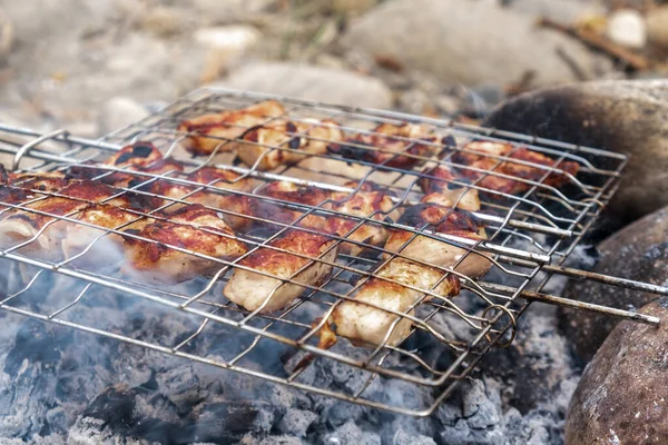 Ζουμερές Μπριζόλες Κρέατος Μαγειρεμένες Πάνω Κάρβουνο Μια Σχάρα Πικνίκ Στη — Φωτογραφία Αρχείου