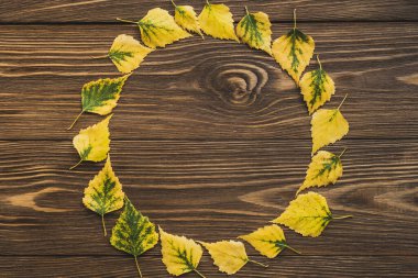 Ahşap arka planda sonbahar sarısı yapraklar. Düz, yuvarlak çerçeveli, güz ağacı yapraklı. Üst Manzara. Boşluğu kopyala.