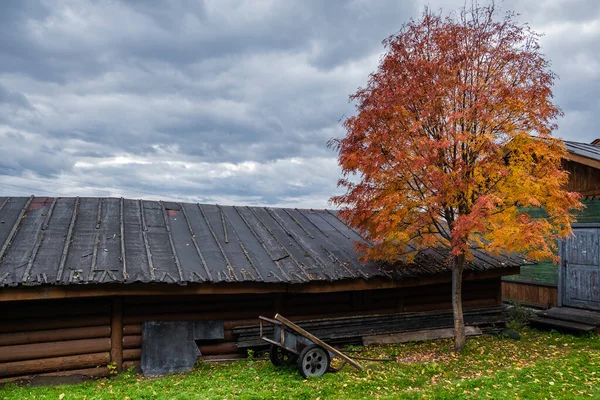 Paisaje de otoño. Encantadora casa de madera en el borde de la carretera. El ambiente de calma y ligera tristeza. Copiar espacio. —  Fotos de Stock