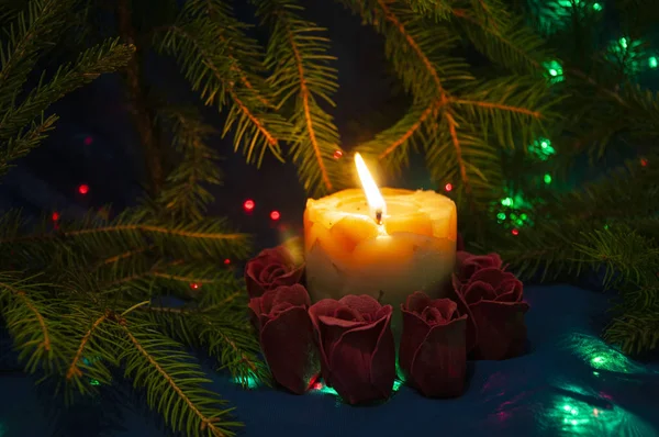 Candle with decorative roses among the branches of a Christmas tree and glowing lights. Background for New Year and Christmas. Postcard