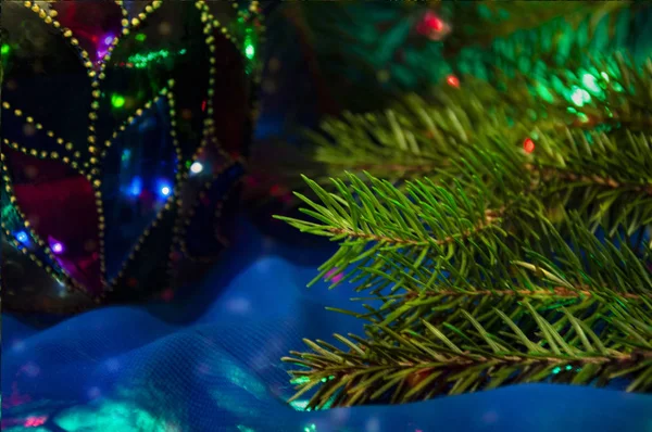 圣诞树分枝 灯火通明 新年色彩背景 — 图库照片