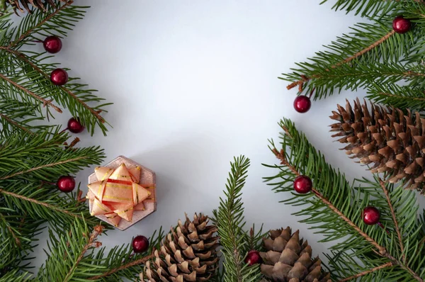 크리스마스 사진의 원추형 가문비나무 — 스톡 사진