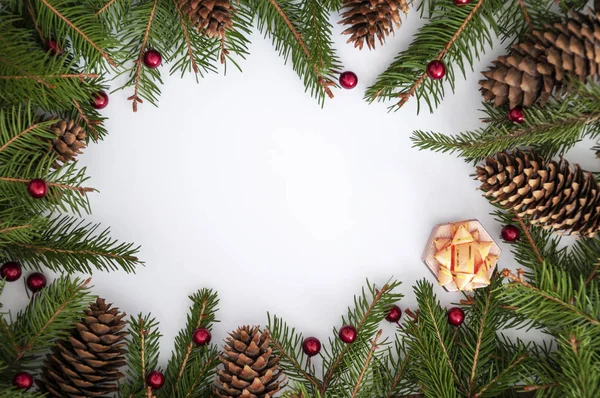 크리스마스 사진의 원추형 가문비나무 — 스톡 사진