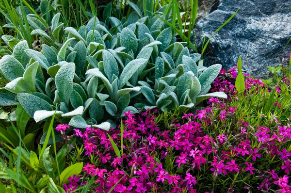 Çiçekli ve yeşil çimenli güzel bir dağ kaydırağı.