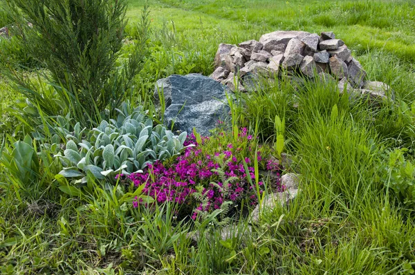 Çiçekli ve yeşil çimenli güzel bir dağ kaydırağı.