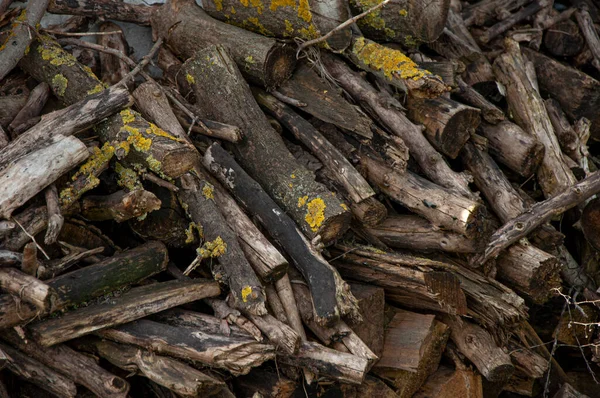 Dřevěné Větve Klacky Dřevo Oheň — Stock fotografie