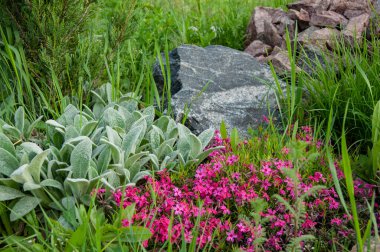 Çiçekli ve yeşil çimenli güzel bir dağ kaydırağı.
